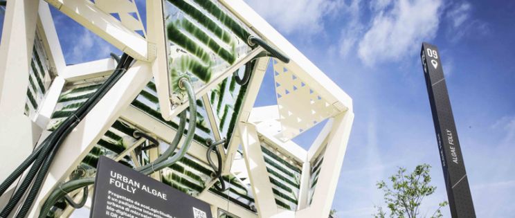 Agricultura urbana integrada en Arquitectura: “Urban Algae Folly”