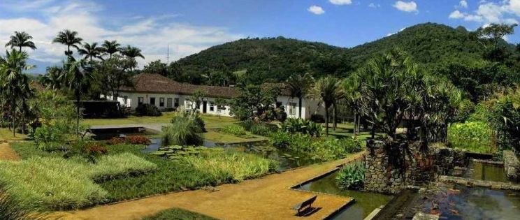 La arquitectura verde de Burle Marx en el jardín de la Hacienda Vargem Grande