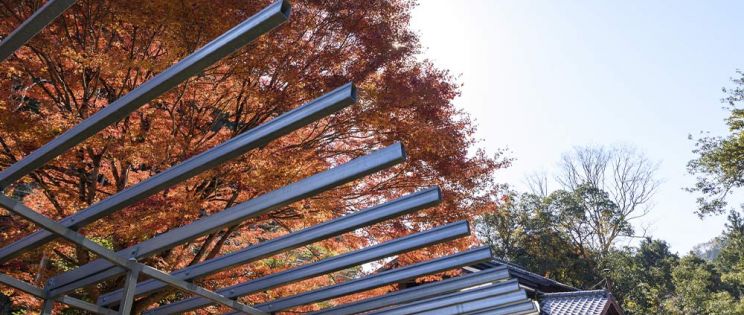 Fusionando arquitectura y naturaleza. Takayuki Kuzushima and Associates