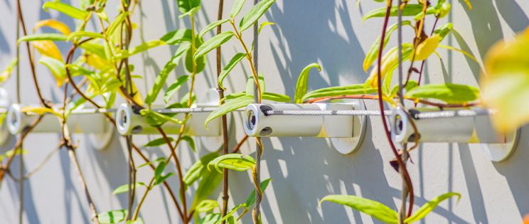 Fachadas verdes: arquitectura sostenible con ARC316