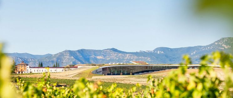 Arquitectura vinícola sostenible Arquitectura vinícola sostenible