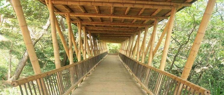 Arquitectura de Guadua (Bambú) en Cali Colombia: “Colegio de las Aguas”