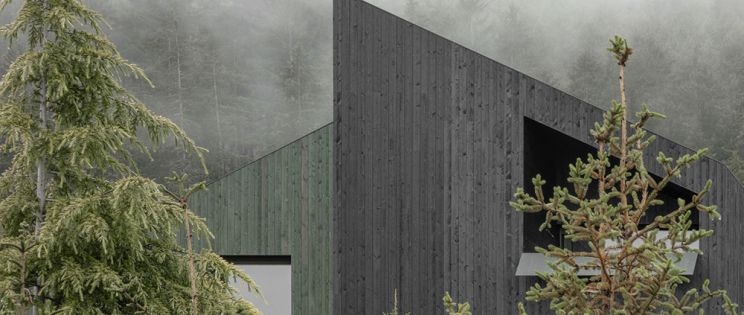 Casa EM: Un diálogo arquitectónico con la naturaleza alpina