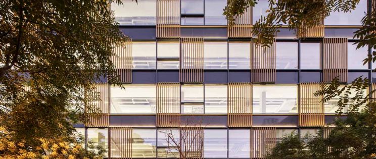 Miguel Ángel 23: arquitectura del bienestar