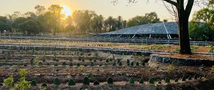 Centro de Cultura Ambiental y su huerto de nopales. Arquitectura y su entorno: Centro de Cultura Ambiental por ERREqERRE