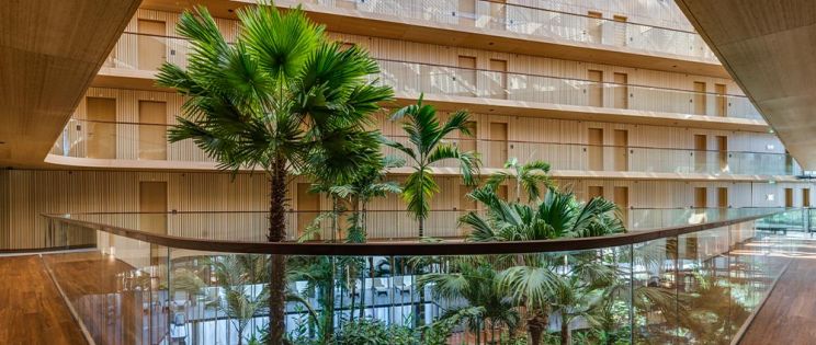 MOSO® Bamboo presenta su nueva identidad de marca: “Building the future with bamboo”