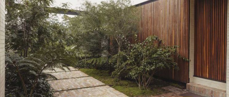 El Bosque Inmerso: Casa CN