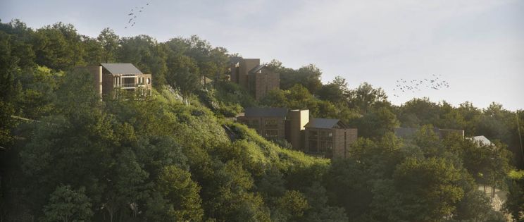 Armonía y Naturaleza: Madre Selva