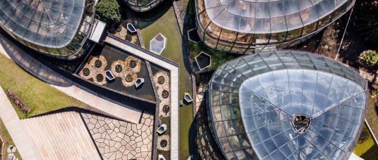 Nodos de Diversidad: Tropicario