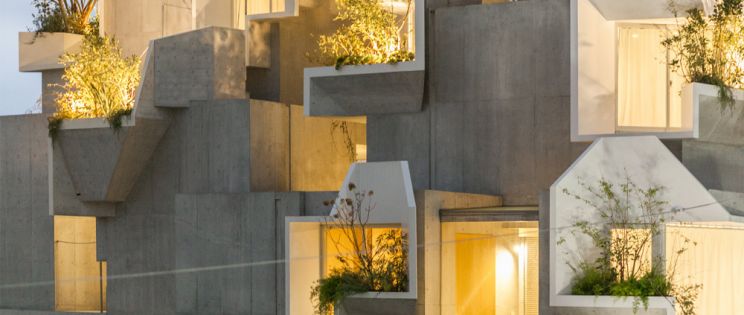 Tree-ness House de Akihisa Hirata: arquitectura orgánica urbana