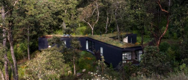 Casa de la Roca del estudio Cadaval & Solà-Morales. Arquitectura en el bosque mexicano