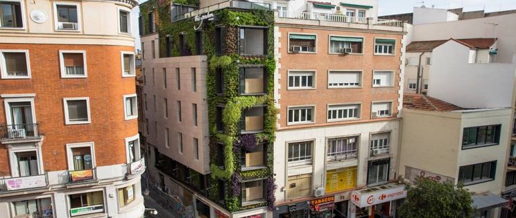 Arquitectura vegetal del biólogo Ignacio Solano. La Calle Montera luce un nuevo jardín vertical