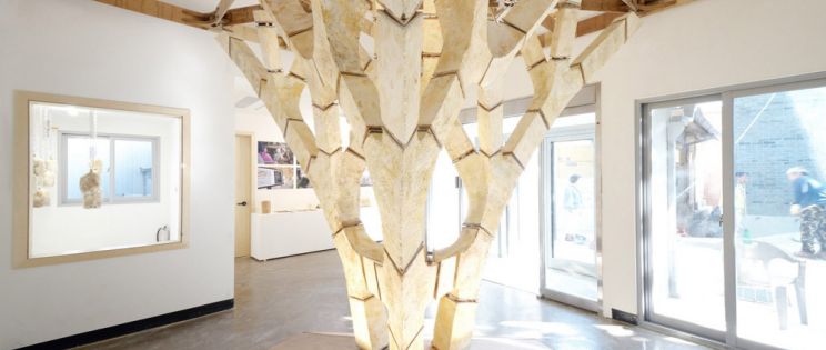 Estructuras portantes con hongos. Arquitectura 100% biodegradable