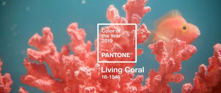 El año 2019 llega de color Living Coral. Pantone anuncia el nuevo color del año