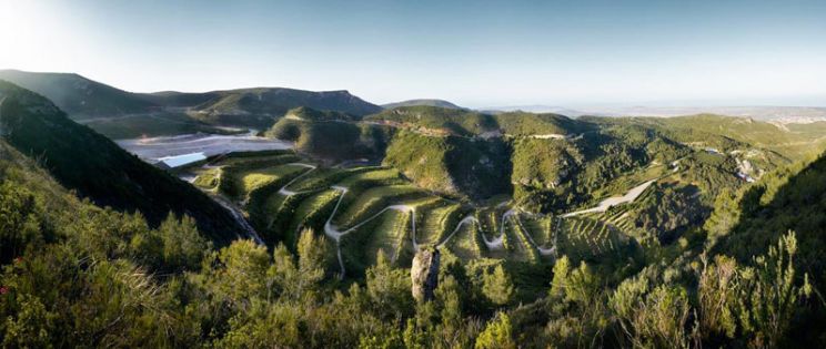 Recuperación paisajística del vertedero de residuos de la Vall d'en Joan. Batlle i Roig