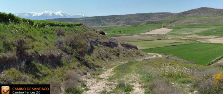 Camino de Santiago 2.0