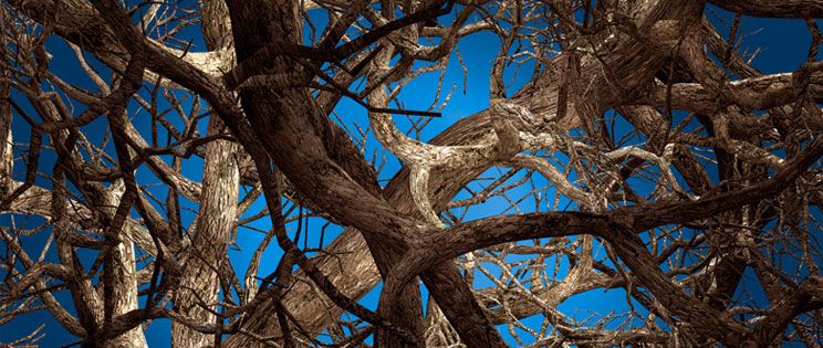 Moooi Carpets ya permite imprimir nuestros propios diseños en el suelo de nuestra casa