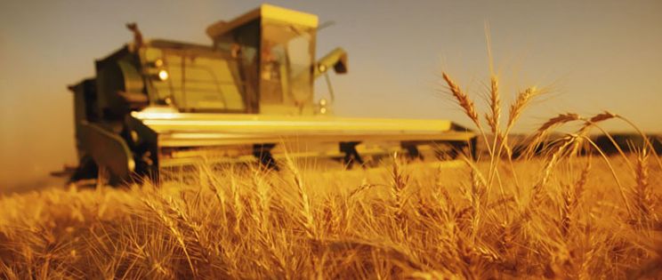 ¿Cómo conseguir un desarrollo rural sostenible?