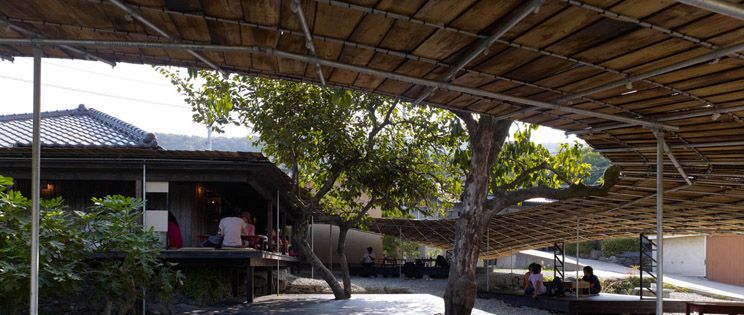 Arte y Gastronomía bajo la sombra de un árbol, Shima Kitchen