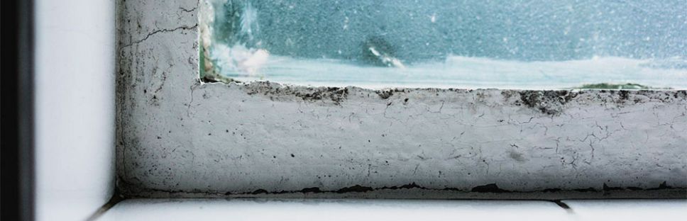 Rehabilitación de edificios históricos en Valencia: Desafíos técnicos y soluciones contemporáneas