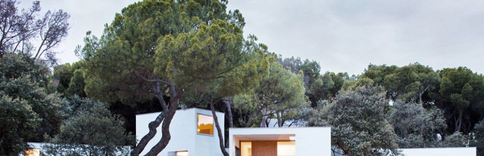 Casas de Madera: Arquitectura Sostenible