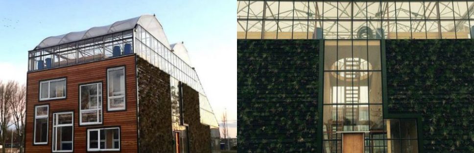 Vivienda unifamiliar. Invernadero urbano experimental