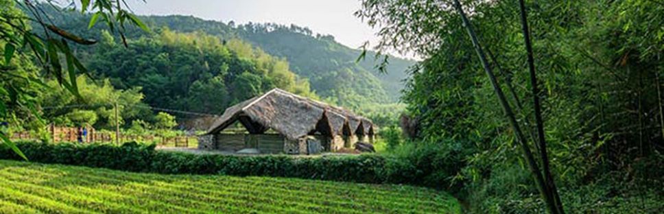 Eco-granjas de bambú. Arquitectura sostenible en la Comuna del Sol, Hangzhou. Eco-granjas de bambú. Arquitectura sostenible en la Comuna del Sol, Hangzhou.
