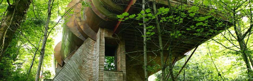 La arquitectura orgánica de Robert Harvey Oshatz. Wilkinson Residence.