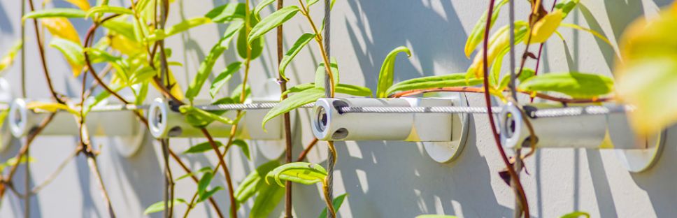 Fachadas verdes: arquitectura sostenible con ARC316 Fachadas verdes: arquitectura sostenible con ARC316