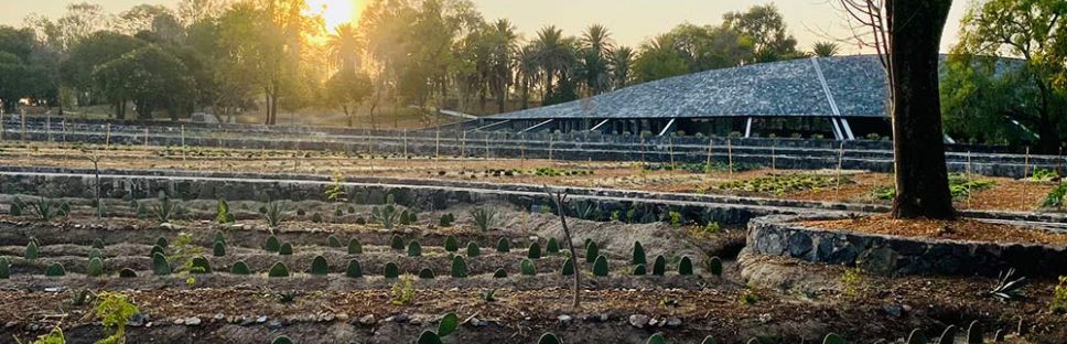 Arquitectura y su entorno: Centro de Cultura Ambiental por ERREqERRE