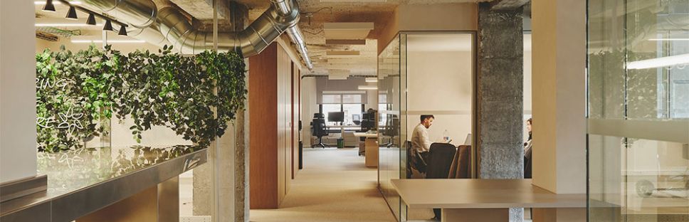 Nueva sede Prosolia en Valencia. Destudio Nueva sede Prosolia en Valencia. Destudio