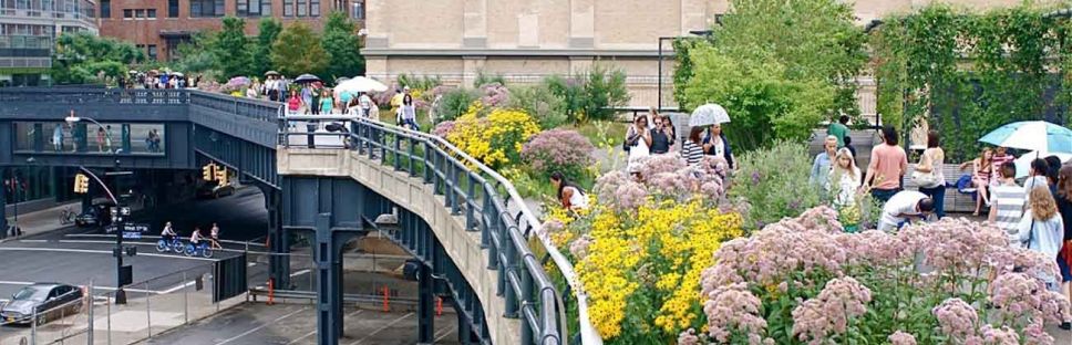 "The High Line" una antigua infraestructura ferroviaria transformada en  ejemplo de futuro sostenible y habitable de Nueva York.