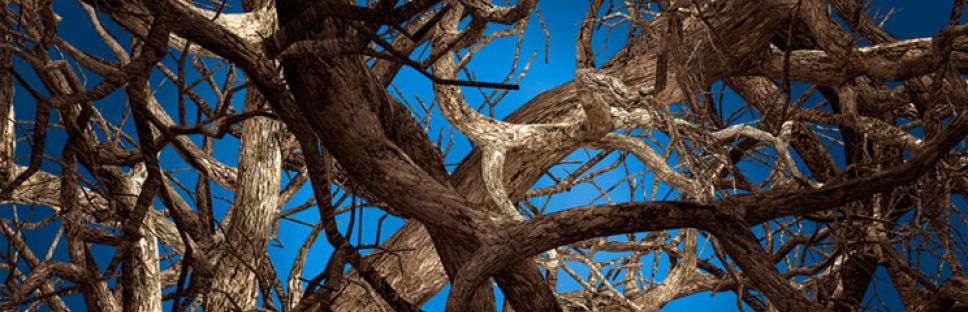 Moooi Carpets ya permite imprimir nuestros propios diseños en el suelo de nuestra casa