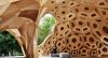Arquitectura biomimética: los beneficios de inspirarse en la naturaleza