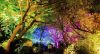 A Forest Where Gods Live ©TeamLab