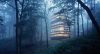 Makoto Takei + Chie Nabeshima Architects. Proyecto Ring House